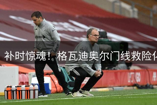 补时惊魂！格瓦迪奥尔门线救险化解厄德高必进球